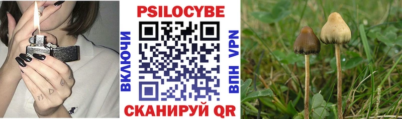 Купить где  Певек  Галлюциногенные грибы мицелий 