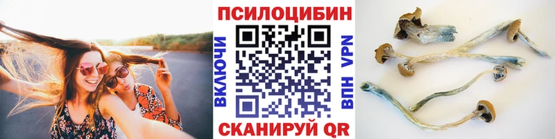 Галлюциногенные грибы Cubensis Певек